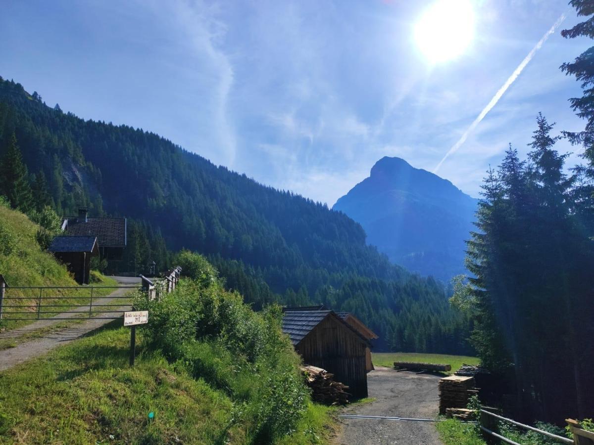 Siegel Almhuette Holiday home Zederhaus